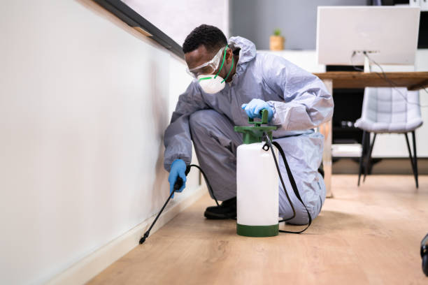 Best Residential Pest Control  in Leisure City, FL